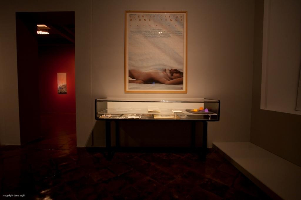 IMG 1184